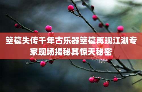 箜篌失传千年古乐器箜篌再现江湖专家现场揭秘其惊天秘密