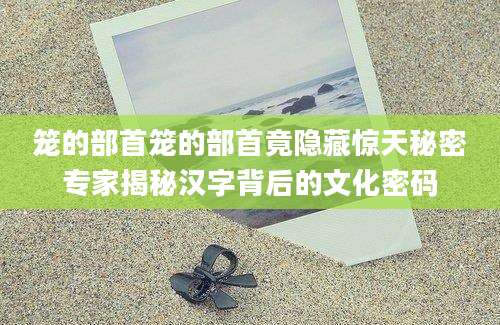 笼的部首笼的部首竟隐藏惊天秘密专家揭秘汉字背后的文化密码