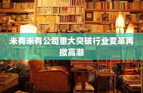米有米有公司重大突破行业变革再掀高潮