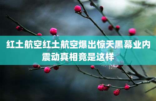 红土航空红土航空爆出惊天黑幕业内震动真相竟是这样