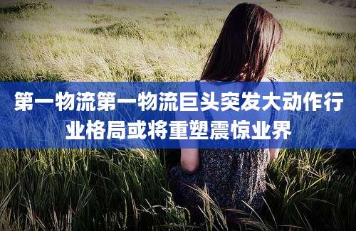 第一物流第一物流巨头突发大动作行业格局或将重塑震惊业界