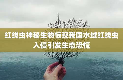 红线虫神秘生物惊现我国水域红线虫入侵引发生态恐慌