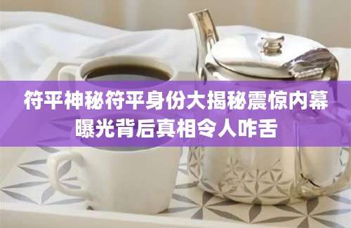 符平神秘符平身份大揭秘震惊内幕曝光背后真相令人咋舌