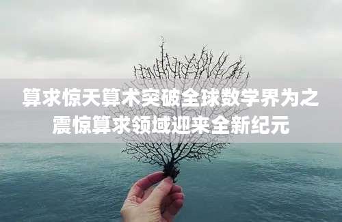算求惊天算术突破全球数学界为之震惊算求领域迎来全新纪元