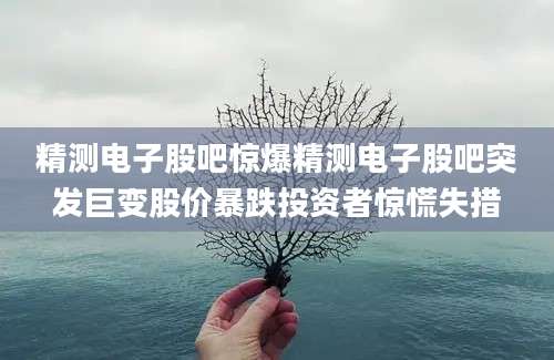 精测电子股吧惊爆精测电子股吧突发巨变股价暴跌投资者惊慌失措