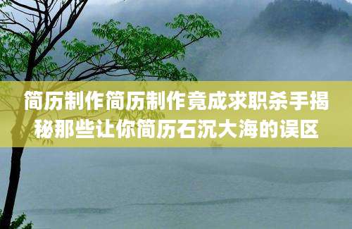 简历制作简历制作竟成求职杀手揭秘那些让你简历石沉大海的误区