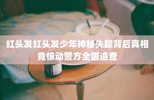 红头发红头发少年神秘失踪背后真相竟惊动警方全国追查
