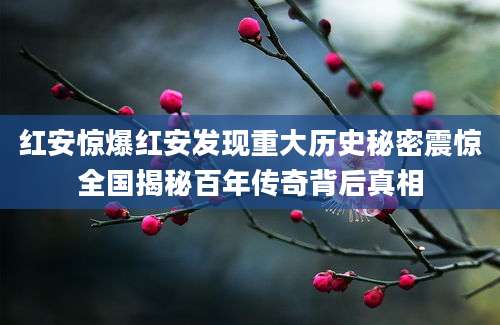 红安惊爆红安发现重大历史秘密震惊全国揭秘百年传奇背后真相