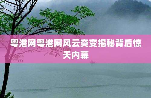 粤港网粤港网风云突变揭秘背后惊天内幕