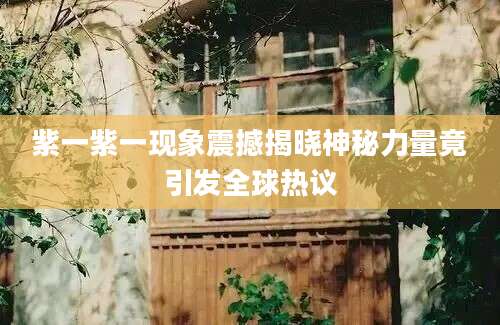 紫一紫一现象震撼揭晓神秘力量竟引发全球热议