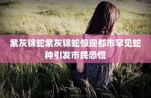 紫灰锦蛇紫灰锦蛇惊现都市罕见蛇种引发市民恐慌