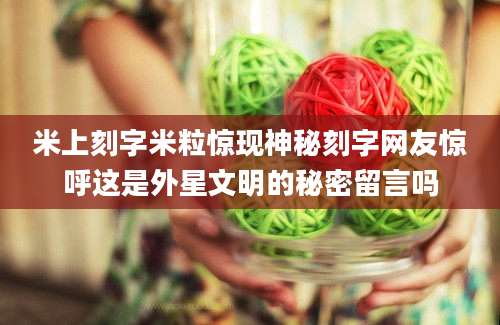 米上刻字米粒惊现神秘刻字网友惊呼这是外星文明的秘密留言吗