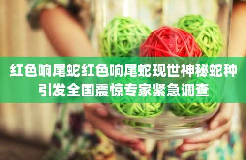 红色响尾蛇红色响尾蛇现世神秘蛇种引发全国震惊专家紧急调查