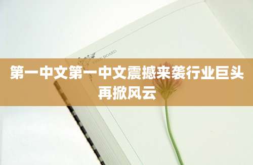 第一中文第一中文震撼来袭行业巨头再掀风云