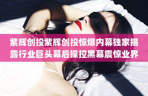 紫辉创投紫辉创投惊爆内幕独家揭露行业巨头幕后操控黑幕震惊业界