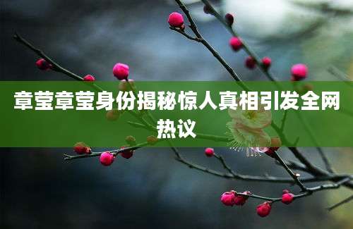 章莹章莹身份揭秘惊人真相引发全网热议