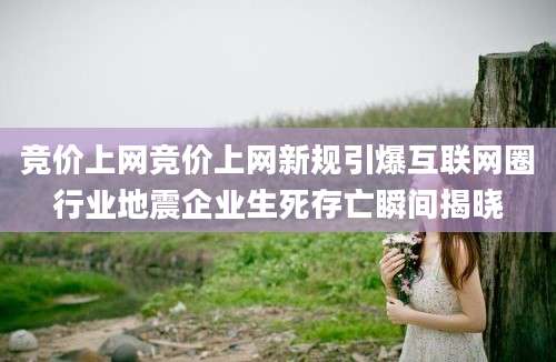 竞价上网竞价上网新规引爆互联网圈行业地震企业生死存亡瞬间揭晓