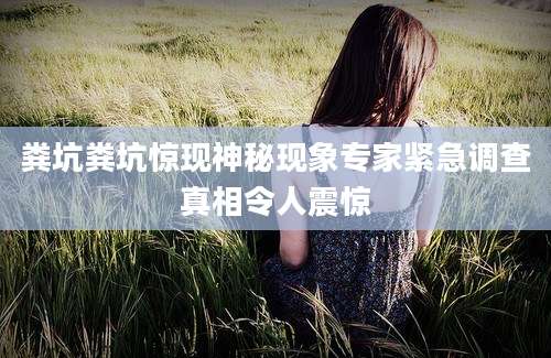粪坑粪坑惊现神秘现象专家紧急调查真相令人震惊