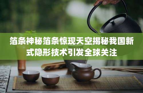 箔条神秘箔条惊现天空揭秘我国新式隐形技术引发全球关注