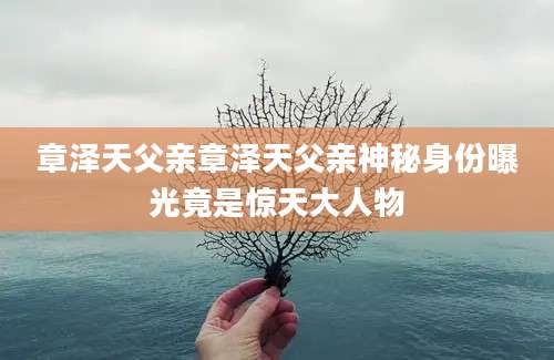 章泽天父亲章泽天父亲神秘身份曝光竟是惊天大人物