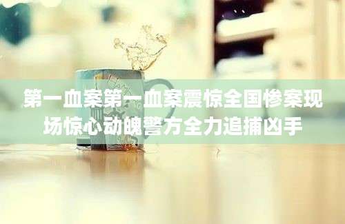 第一血案第一血案震惊全国惨案现场惊心动魄警方全力追捕凶手