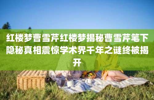 红楼梦曹雪芹红楼梦揭秘曹雪芹笔下隐秘真相震惊学术界千年之谜终被揭开