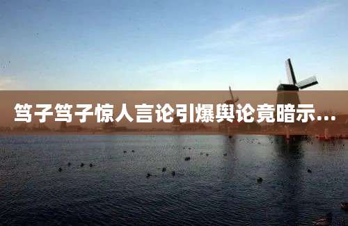 笃子笃子惊人言论引爆舆论竟暗示...