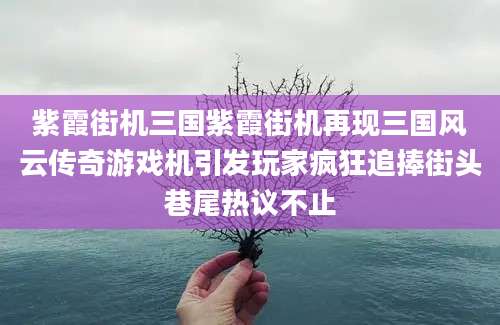 紫霞街机三国紫霞街机再现三国风云传奇游戏机引发玩家疯狂追捧街头巷尾热议不止