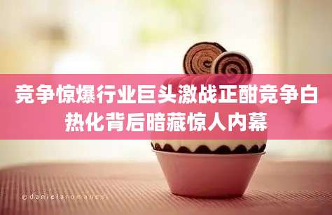 竞争惊爆行业巨头激战正酣竞争白热化背后暗藏惊人内幕