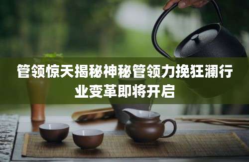 管领惊天揭秘神秘管领力挽狂澜行业变革即将开启