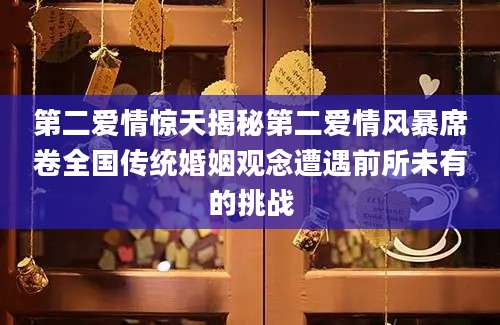 第二爱情惊天揭秘第二爱情风暴席卷全国传统婚姻观念遭遇前所未有的挑战