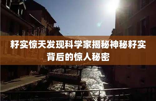 籽实惊天发现科学家揭秘神秘籽实背后的惊人秘密