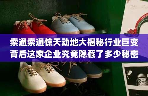 索通索通惊天动地大揭秘行业巨变背后这家企业究竟隐藏了多少秘密