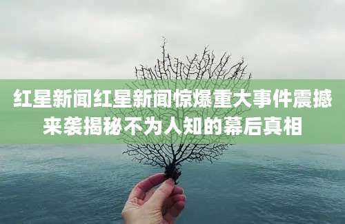 红星新闻红星新闻惊爆重大事件震撼来袭揭秘不为人知的幕后真相