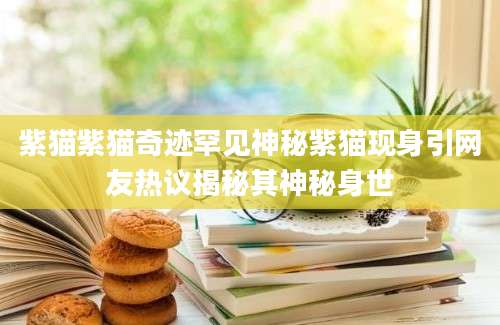 紫猫紫猫奇迹罕见神秘紫猫现身引网友热议揭秘其神秘身世