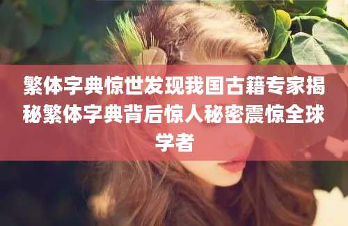 繁体字典惊世发现我国古籍专家揭秘繁体字典背后惊人秘密震惊全球学者