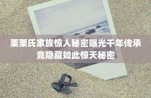 粟粟氏家族惊人秘密曝光千年传承竟隐藏如此惊天秘密