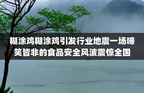 糊涂鸡糊涂鸡引发行业地震一场啼笑皆非的食品安全风波震惊全国