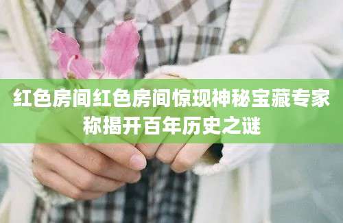 红色房间红色房间惊现神秘宝藏专家称揭开百年历史之谜