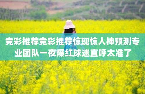 竞彩推荐竞彩推荐惊现惊人神预测专业团队一夜爆红球迷直呼太准了