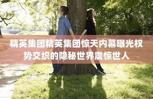 精英集团精英集团惊天内幕曝光权势交织的隐秘世界震惊世人