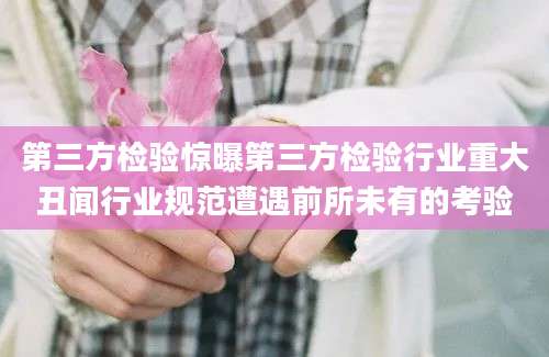 第三方检验惊曝第三方检验行业重大丑闻行业规范遭遇前所未有的考验