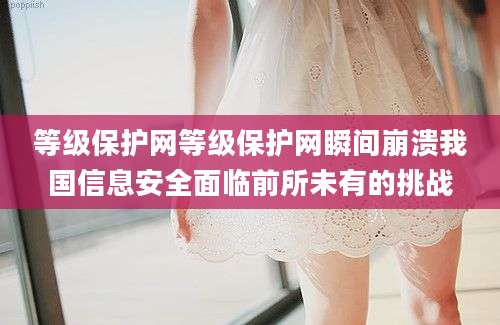 等级保护网等级保护网瞬间崩溃我国信息安全面临前所未有的挑战