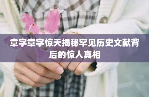 章字章字惊天揭秘罕见历史文献背后的惊人真相