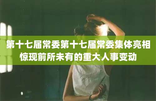 第十七届常委第十七届常委集体亮相惊现前所未有的重大人事变动