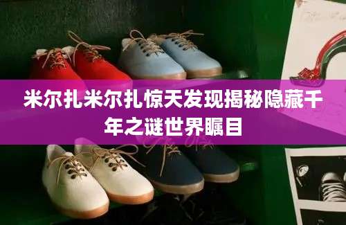米尔扎米尔扎惊天发现揭秘隐藏千年之谜世界瞩目