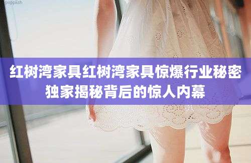 红树湾家具红树湾家具惊爆行业秘密独家揭秘背后的惊人内幕