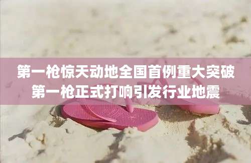 第一枪惊天动地全国首例重大突破第一枪正式打响引发行业地震