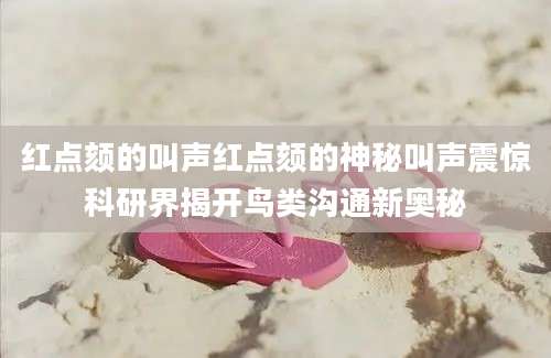 红点颏的叫声红点颏的神秘叫声震惊科研界揭开鸟类沟通新奥秘