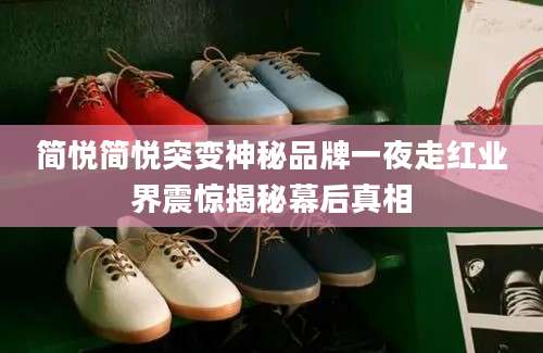 简悦简悦突变神秘品牌一夜走红业界震惊揭秘幕后真相